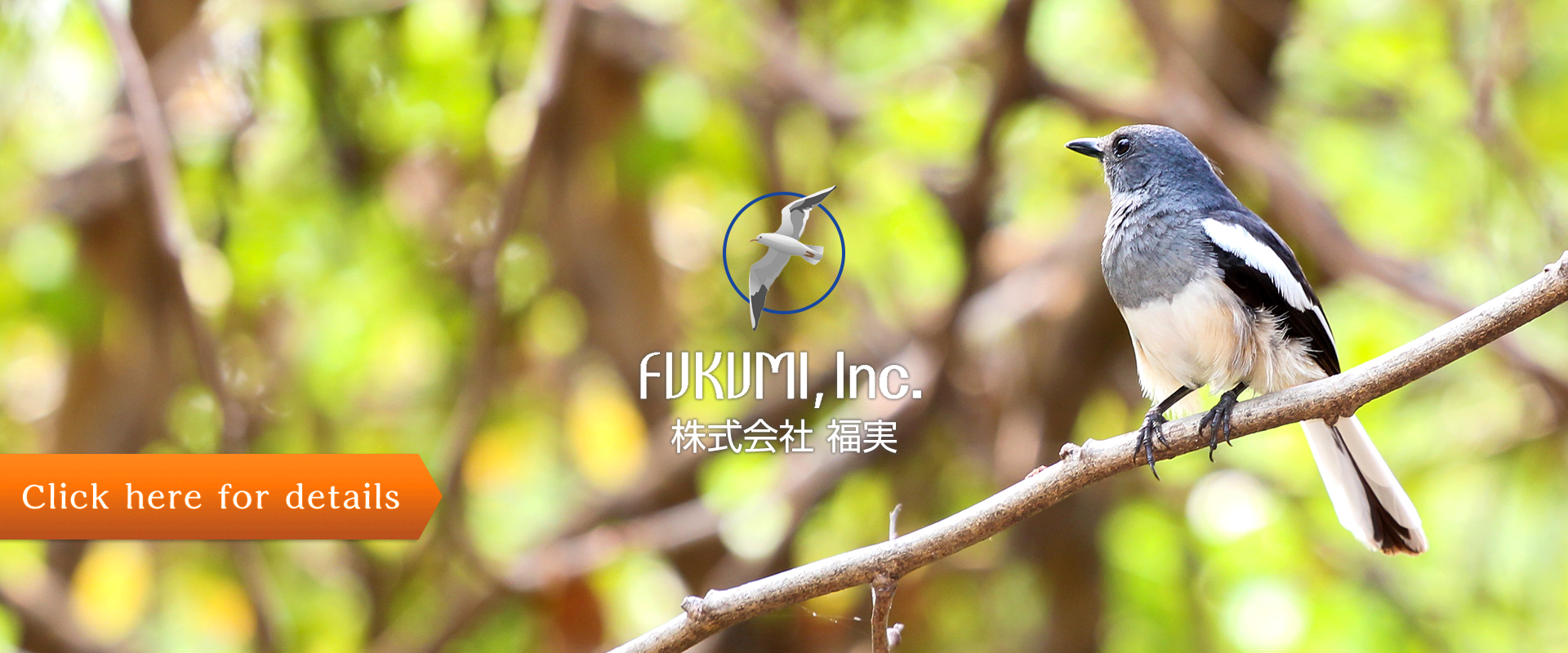 株式会社 福実　FUKUMI,Inc.