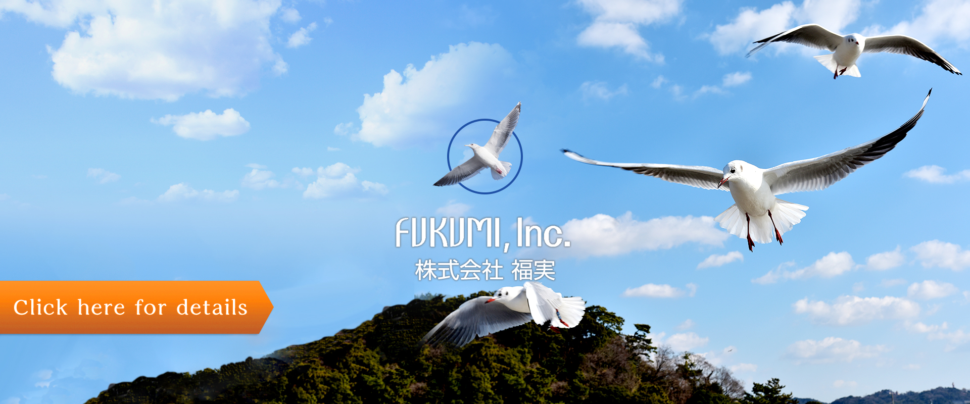 株式会社 福実　FUKUMI,Inc.